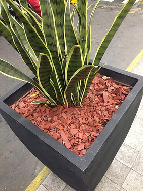 Mulch_decomaceta.jpg