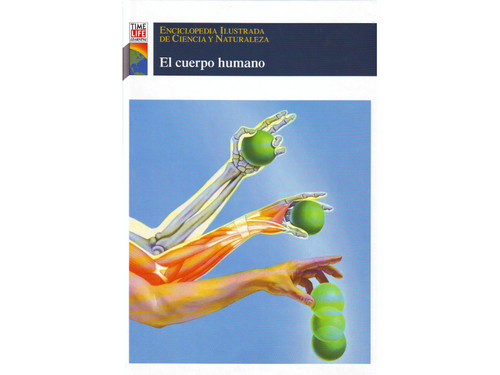 El cuerpo humano