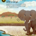 10 razones para amar a un elefante