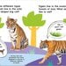 First Facts Big Cats - First Facts Big Cats (Move Turn Learn2.jpg