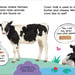First Facts Farm Animals - spread-1 (13).jpg