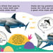 First Facts Sharks