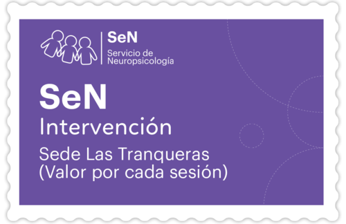 Sesión de Intervención Neuropsicológica en SeN