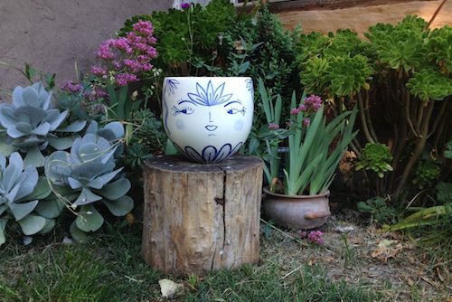 Macetero tipo bowl azul con blanco