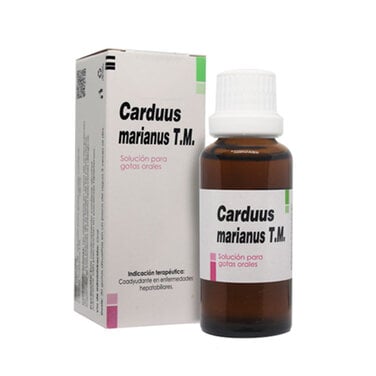 Carduus marianus T.M.