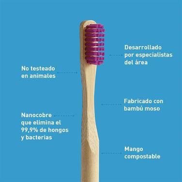 Cepillo de Dental Biodegradable Morado BIOBRUSH 1 un