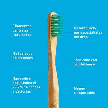 Cepillo de Dental Biodegradable Verde BioBrush 1 un