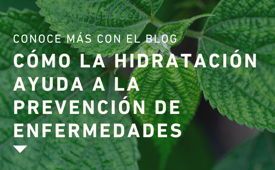 blog_hidratacion.png