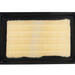 C17008 Filtro Aire Wega FAP-4042         - FAP-4042C.jpg