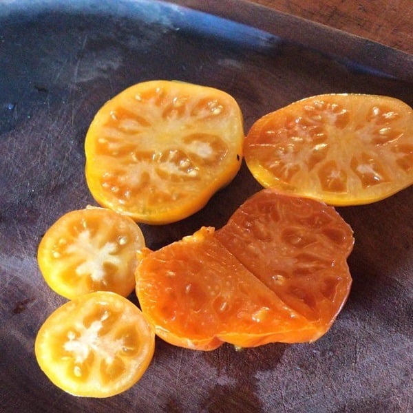 Tomate Naranja - Tomate Naranja