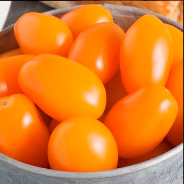 Tomate Perita Naranjo - Tomate Perita Naranjo.jpg