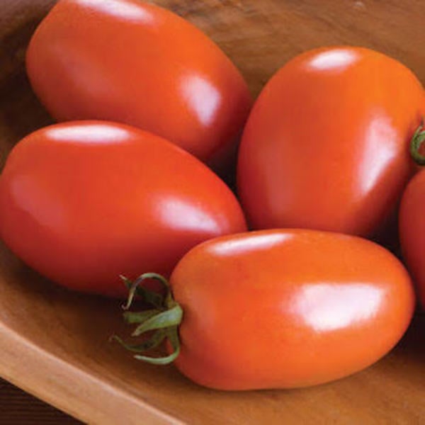 Tomate Romano - Tomate Romano.jpeg
