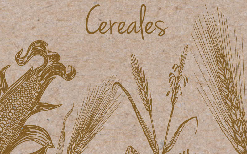 categorias-sobre_cereales.jpg