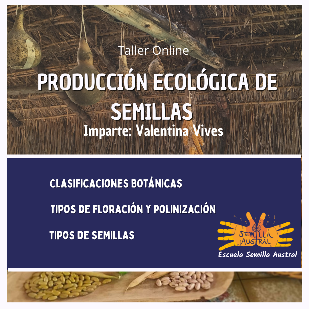 Taller_Valentina_Vives_Producción_Agroecológica_de_Semillas.png