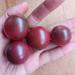 Tomate Cherry Ciruela - Tomate Cherry Ciruela