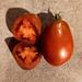 Tomate Zepellin - Tomate Zepellin