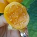 Aguaymanto (Golden Berry) - physalis XR.jpg