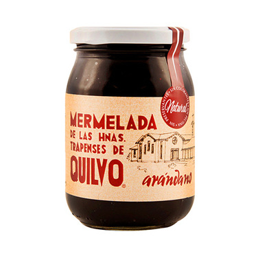MERMELADA NATURAL ARANDANO 500 ML