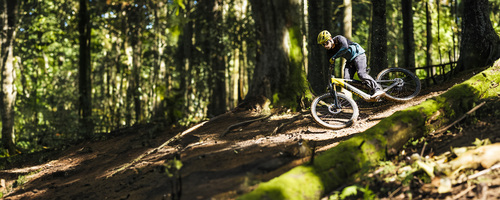 patron-eride-st-action-800x800.jpg