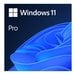 Windows 11 Pro: Licencia Digital Perpetua de 64 bits, Transferible y Multilenguaje - 596ec4ae-5608-4fc1-88ef-a7bd066f4d70.jpg