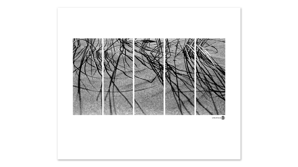 09. Details from Nature 1