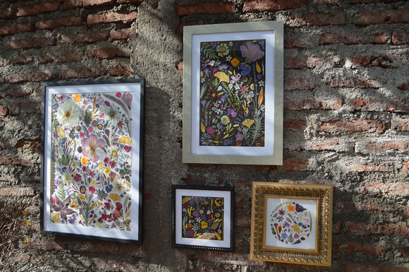 Herbario rectangular de flores prensadas con marco negro