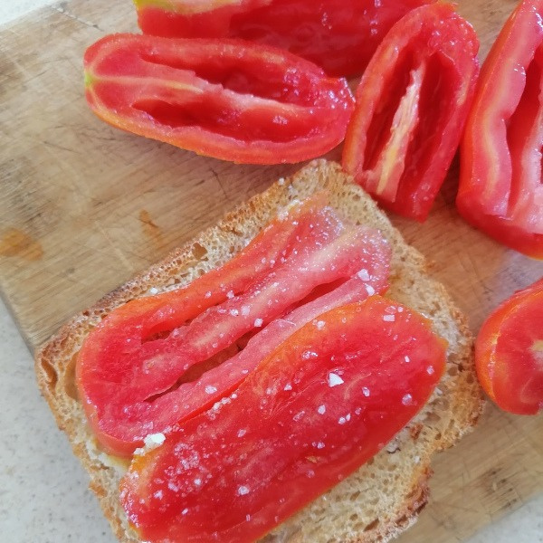 Tomate San Marzano Semilla Austral