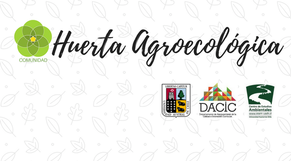 Curso Huerta Agroecológica UACh