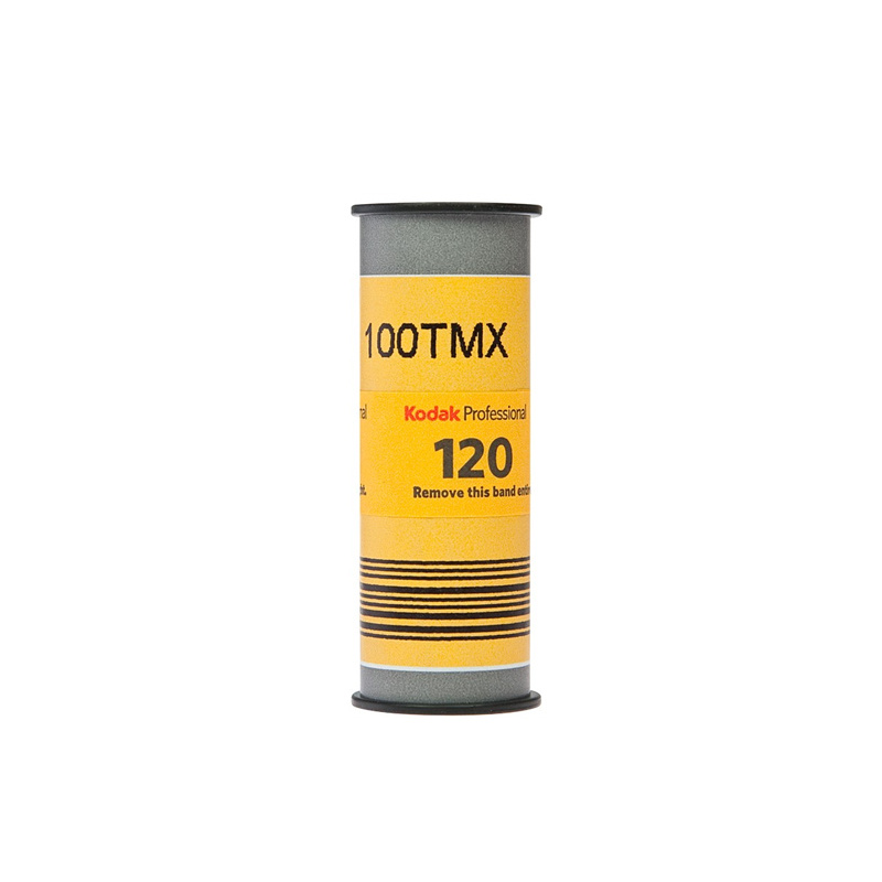 Kodak T-MAX 100 120
