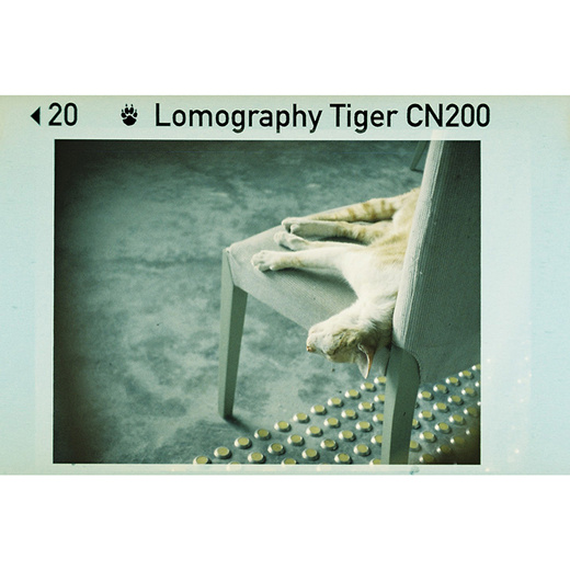 Lomography Tiger CN 200 ASA x1 110mm