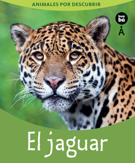 El jaguar