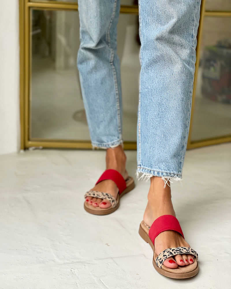 240251 Print