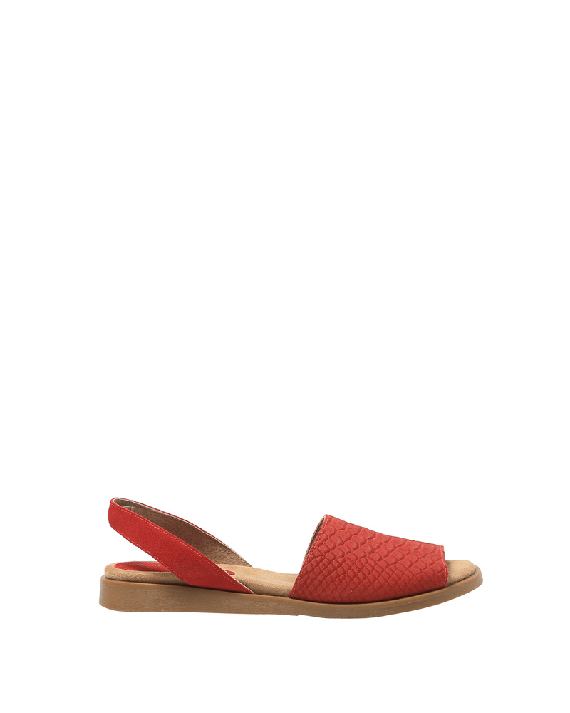 240256 Rojo