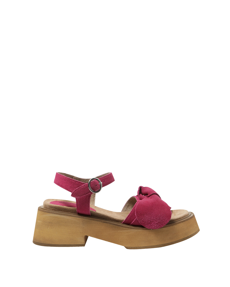 240688 Fucsia