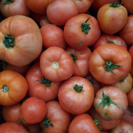 Tomate Agroeco Chilcos 1kg