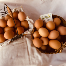 Huevos gallinas libres