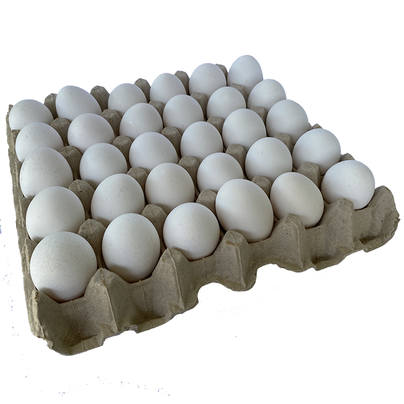 Huevos grande blanco Yemita bandeja de 30