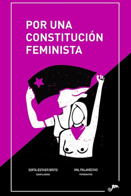 POR UNA CONSTITUCION FEMINISTA