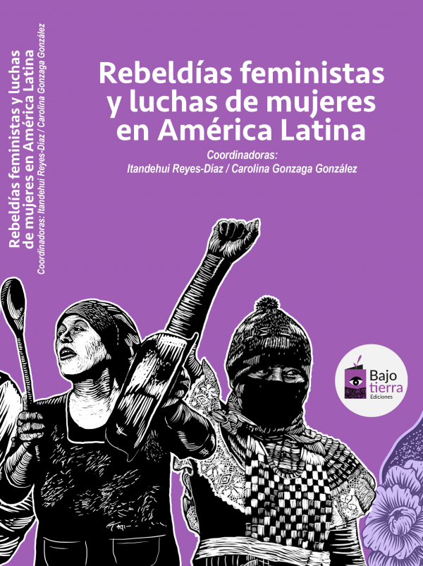REBELDIAS FEMINISTAS Y LUCHA DE MUJERES EN AMERICA LATINA - rebeldias-feministas-y-luchas-de-mujeres-en-america-latina-9786079890186.png