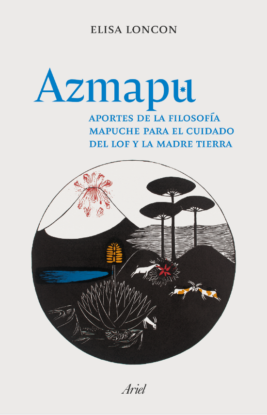 AZMAPU - 2023-01-23 17_01_24-Window.png